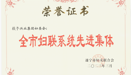 喜報(bào)！興業(yè)集團(tuán)婦委會(huì)榮獲“全市婦聯(lián)系統(tǒng)先進(jìn)集體”榮譽(yù)稱號(hào)